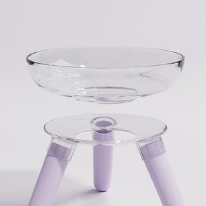 Transform Mealtime with Our Transparent Pet Feeding Bowl