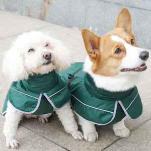Keep Your Pet Cozy with the Pet Warm Shell Jacket