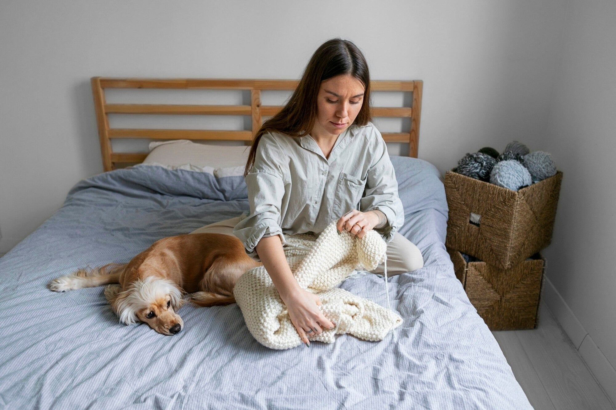 Creating Comfort with Cozy Pet Beds