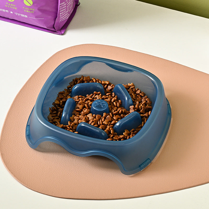 Anti Choking Pet Slow Feeder Bowl For Dogs And Puppies