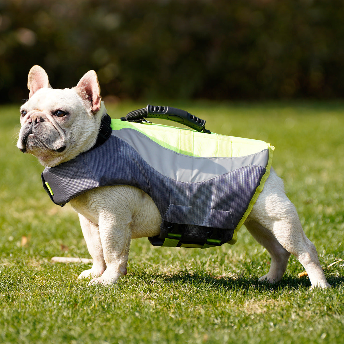 Pet Reflective Life Jacket Swimsuit Safety Vest