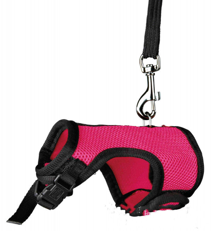 Small Pet Training Leash Lightweight Durable Lead