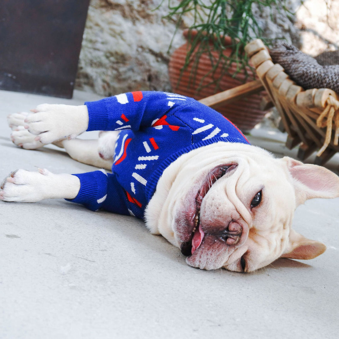 Pet Sweater Clothing