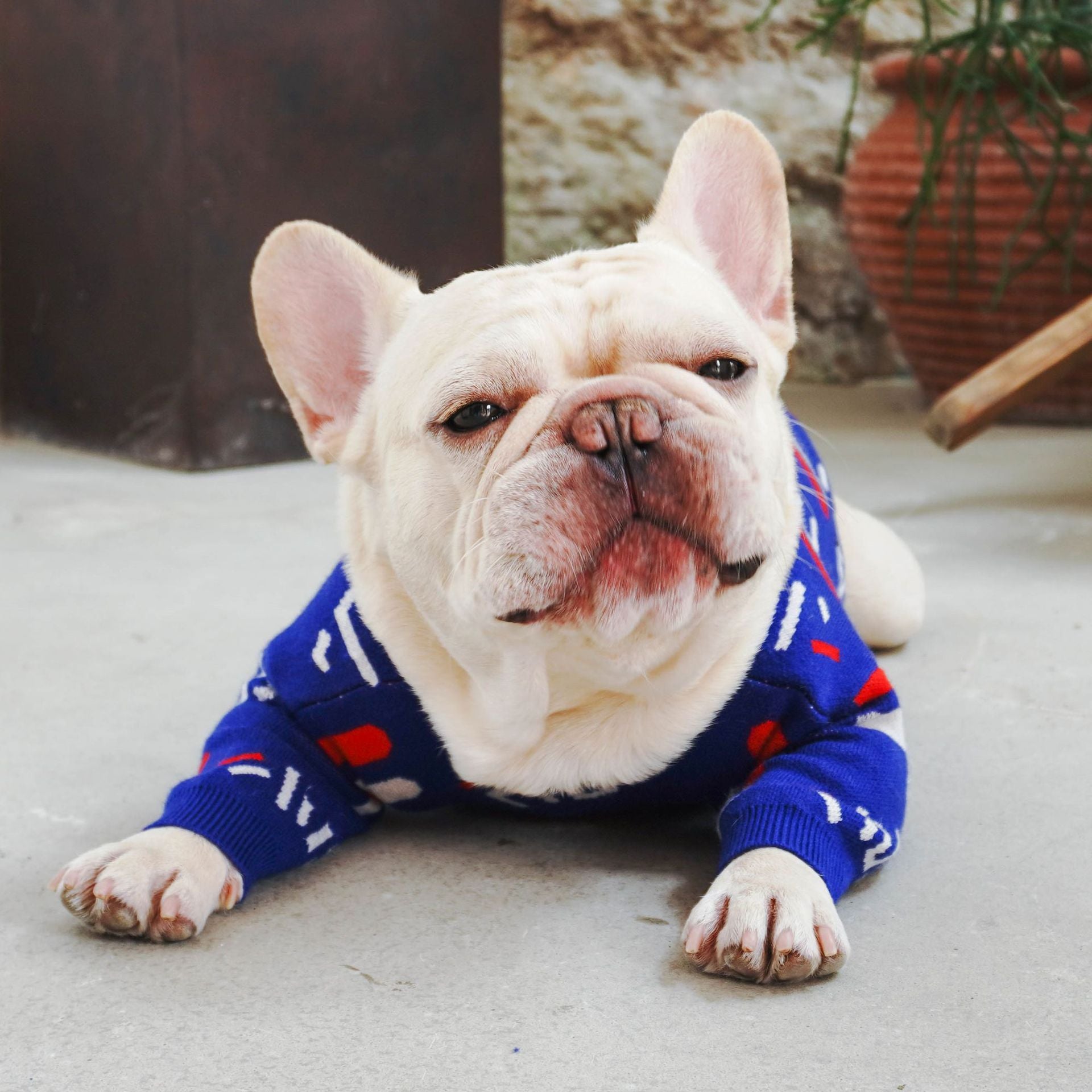 Pet Sweater Clothing