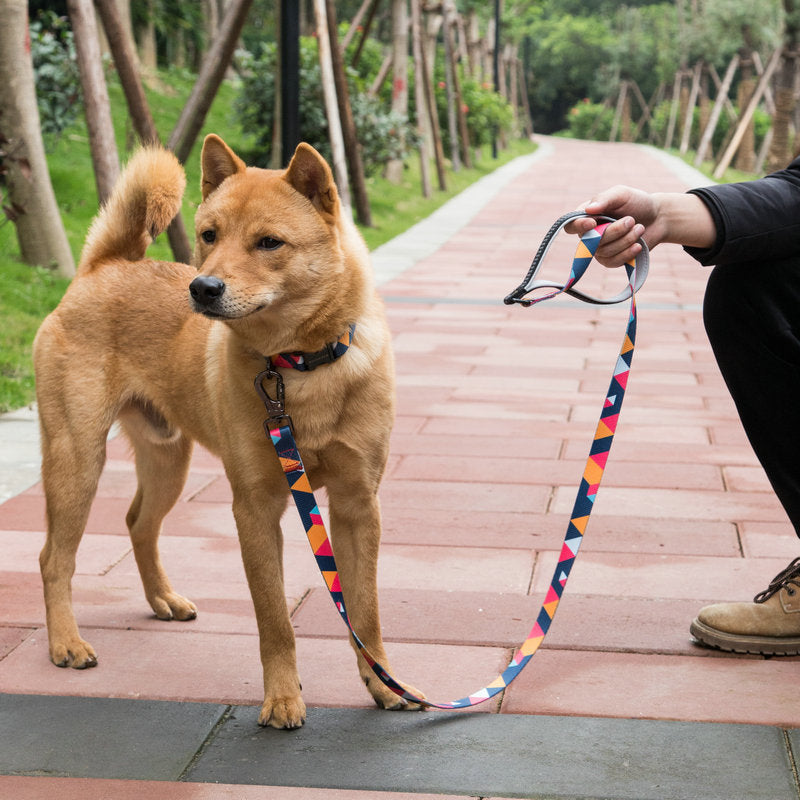Pet Leash Durable Training Lead For Outdoor Use