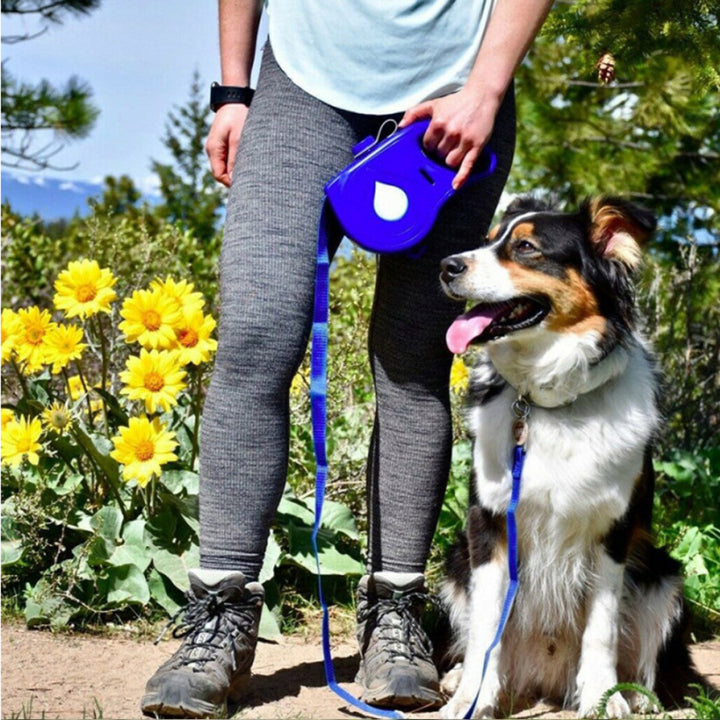 Pet Automatic Retractable Leash Multifunctional Portable Walking Lead
