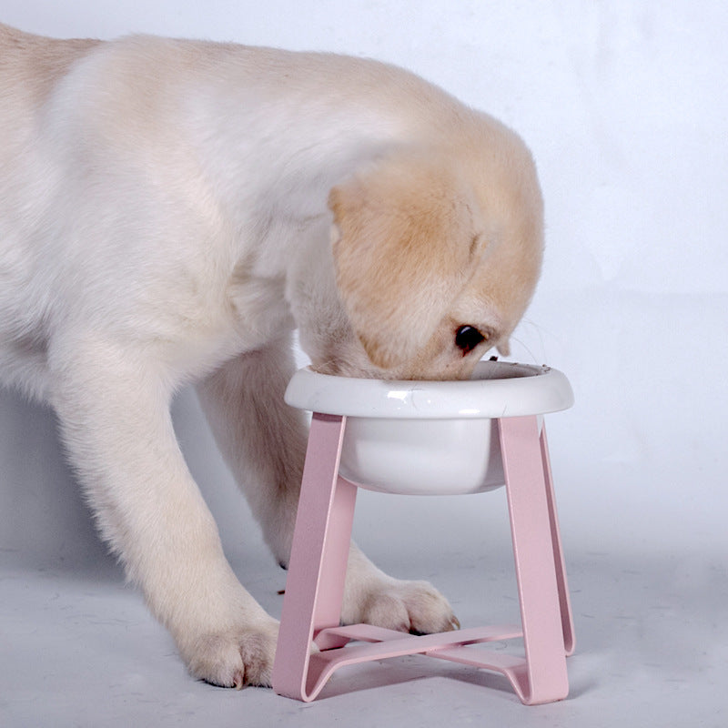 Anti Slip Pet Feeding Bowl With Iron Stand 2 In 1 Pet Feeder