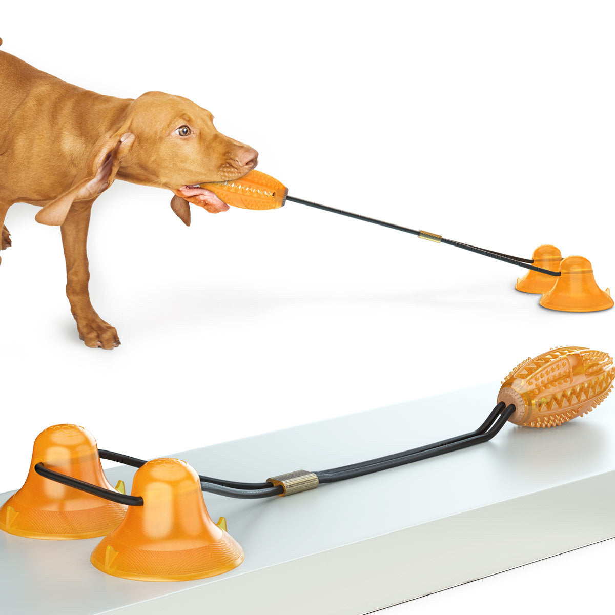 Double Rope Ball Tug Chew Toy With Suction Base