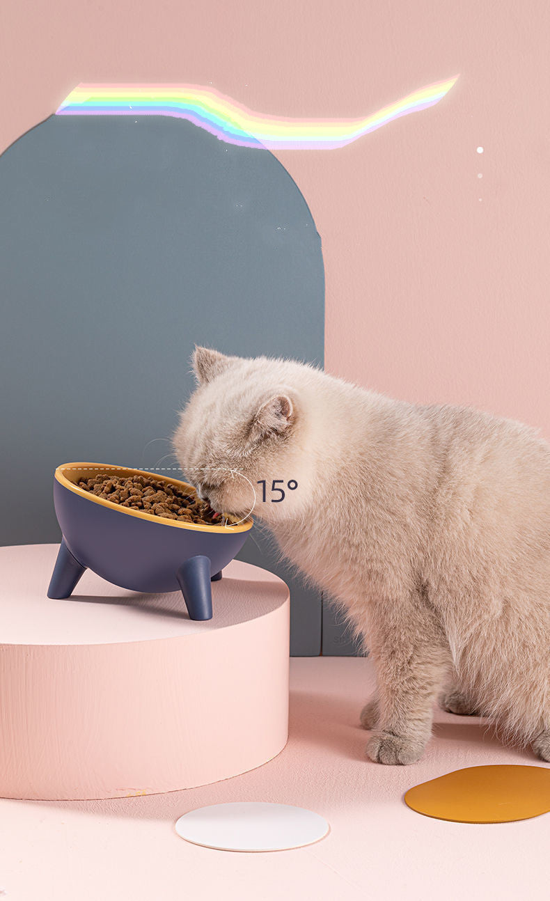 Pet Feeding Bowl With Stand Nordic Style Food And Water Set
