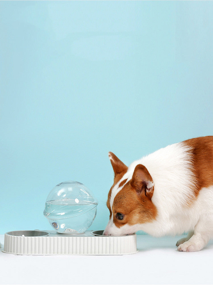 Automatic Pet Feeder And Water Dispenser Bowl