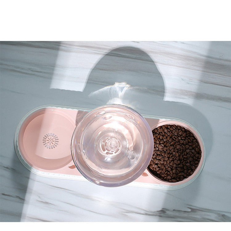 Automatic Pet Feeder And Water Dispenser Bowl