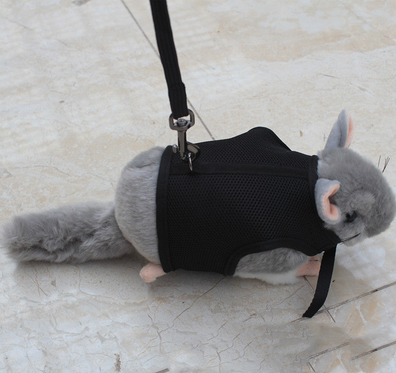 Small Pet Training Leash Lightweight Durable Lead