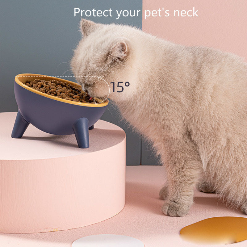Pet Feeding Bowl With Stand Nordic Style Food And Water Set