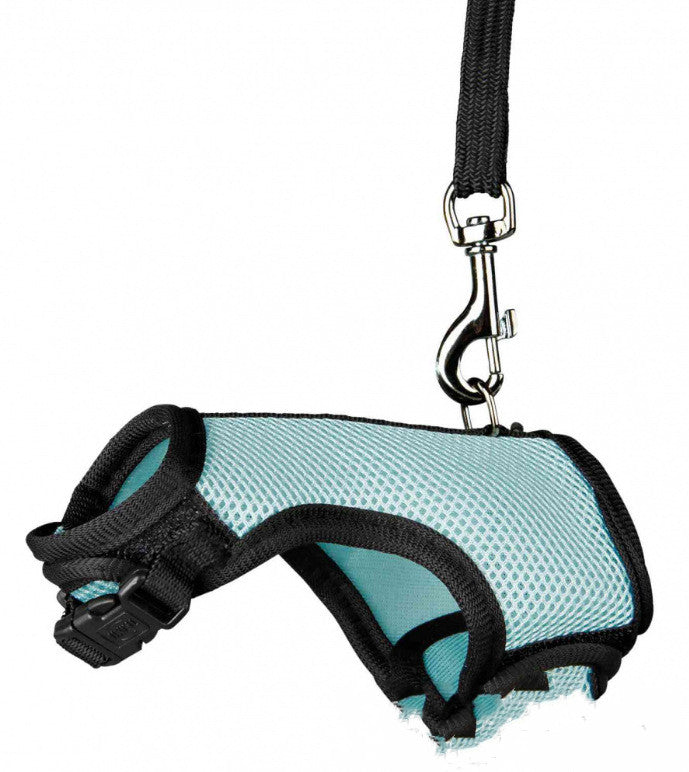 Small Pet Training Leash Lightweight Durable Lead