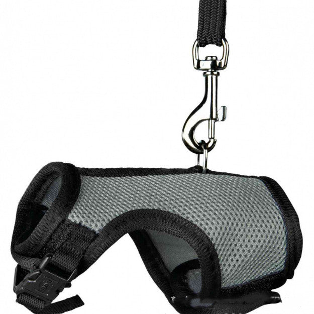 Small Pet Training Leash Lightweight Durable Lead