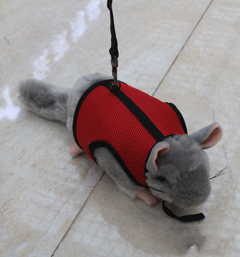 Small Pet Training Leash Lightweight Durable Lead