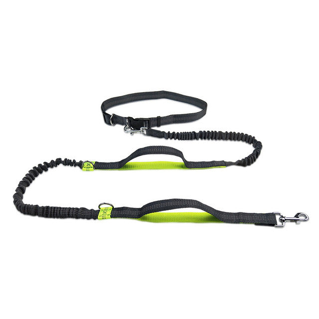 Adjustable Jogging Pet Harness Collar Leash Set