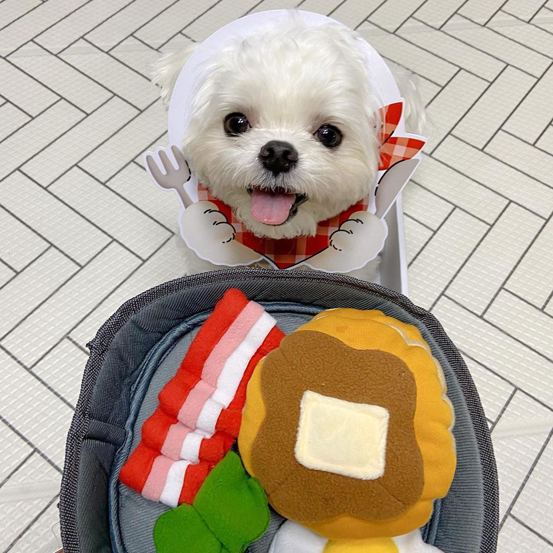 Interactive Pet Treat Hide Food Puzzle Toys