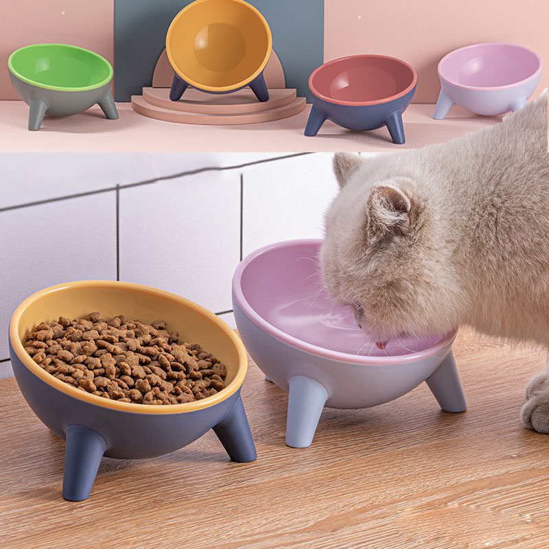 Pet Feeding Bowl With Stand Nordic Style Food And Water Set