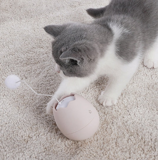 Funny Interactive Pet Toy Play Artifact