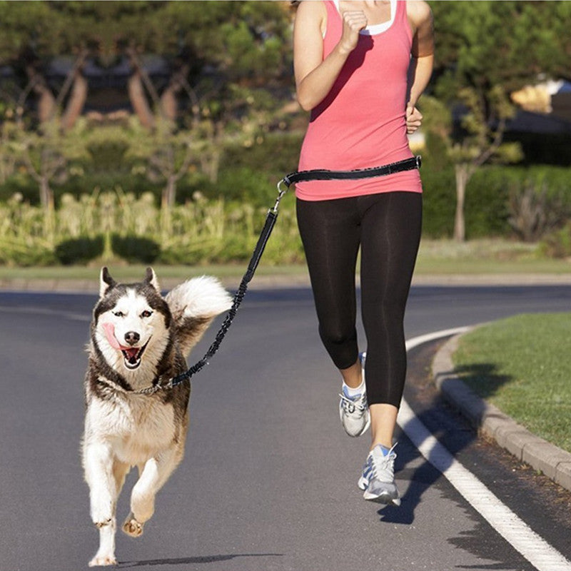 Adjustable Jogging Pet Harness Collar Leash Set