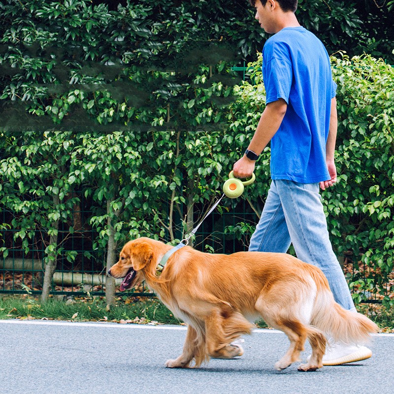 Retractable Reflective Pet Leash With Durable Rope