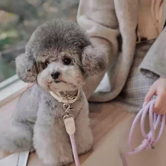 Leather Pet Collar Rope Leash For Small Medium Pets