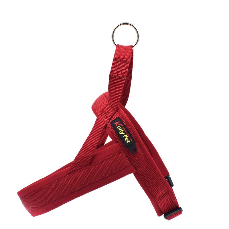 Pet Nylon Chest Harness And Leash Set
