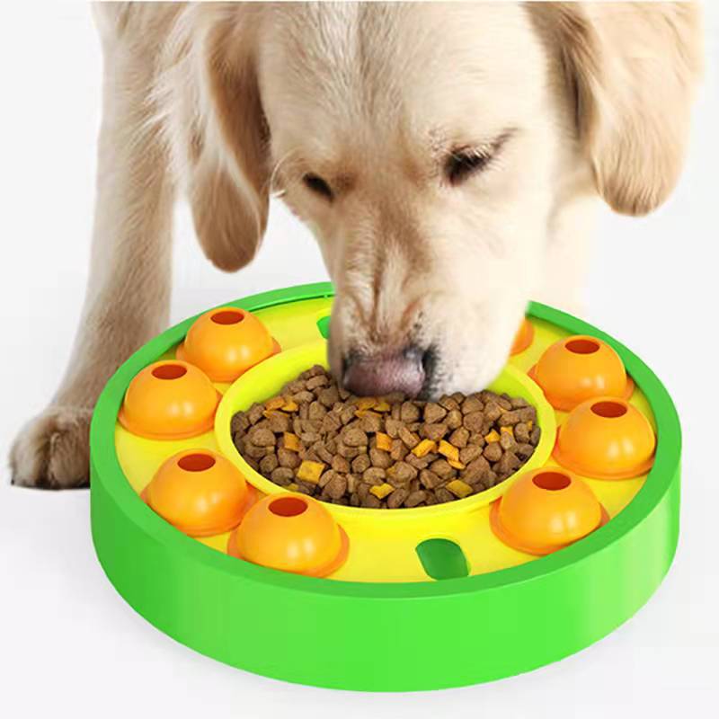 Interactive Pet Puzzle Treat Dispenser Slow Feeder IQ Training Toy