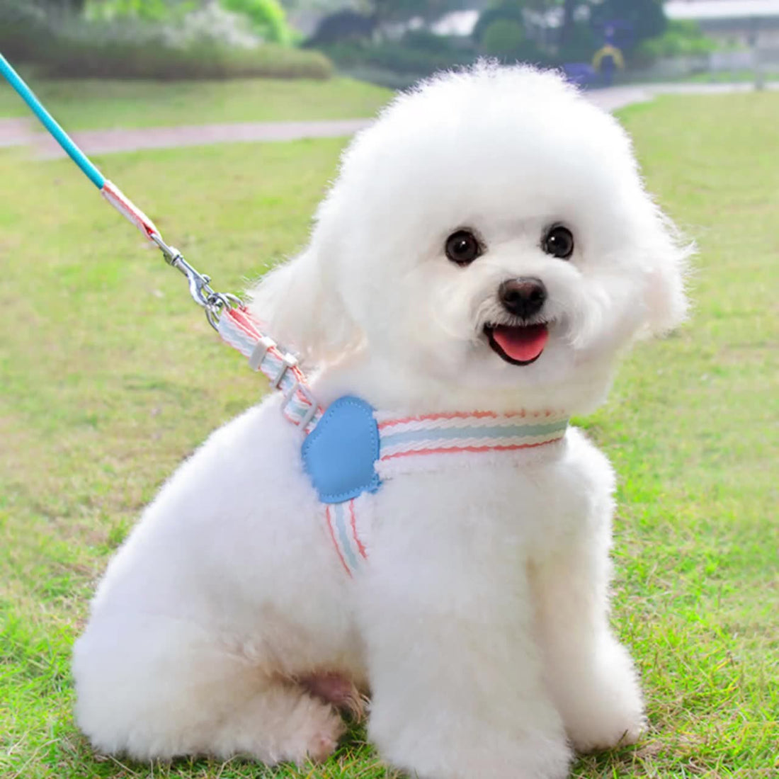 Breathable Pet Chest Vest Leash Comfortable Walking Harness