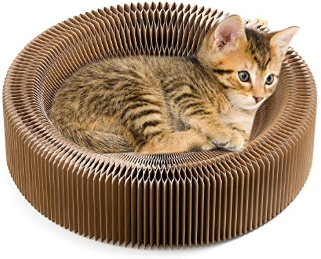 Collapsible Cardboard Pet Scratcher Round Lounge Bed