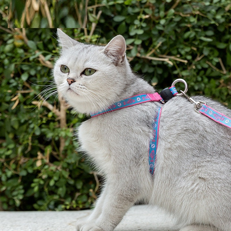 Pet Bell Chest Strap Harness Vest Leash Set