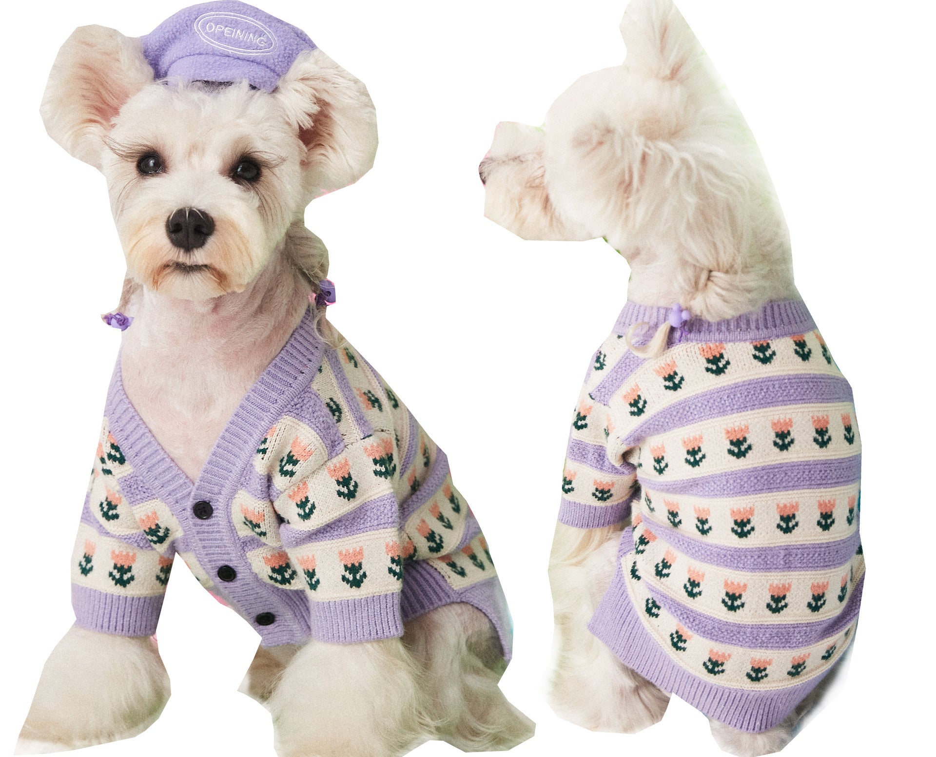 Pet Flower Cardigan Sweater Clothing