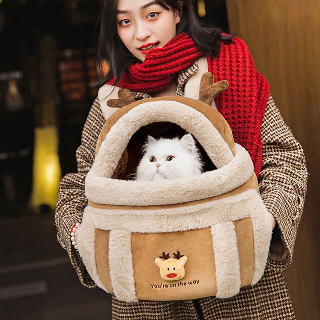 Pet Plush Winter Travel Carrier Backpack Bag With Hand Warmers