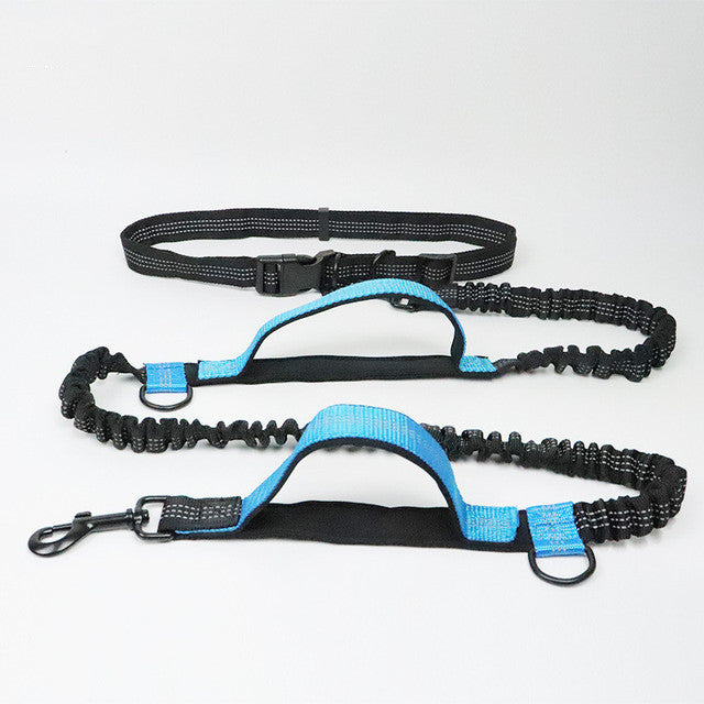 Adjustable Jogging Pet Harness Collar Leash Set