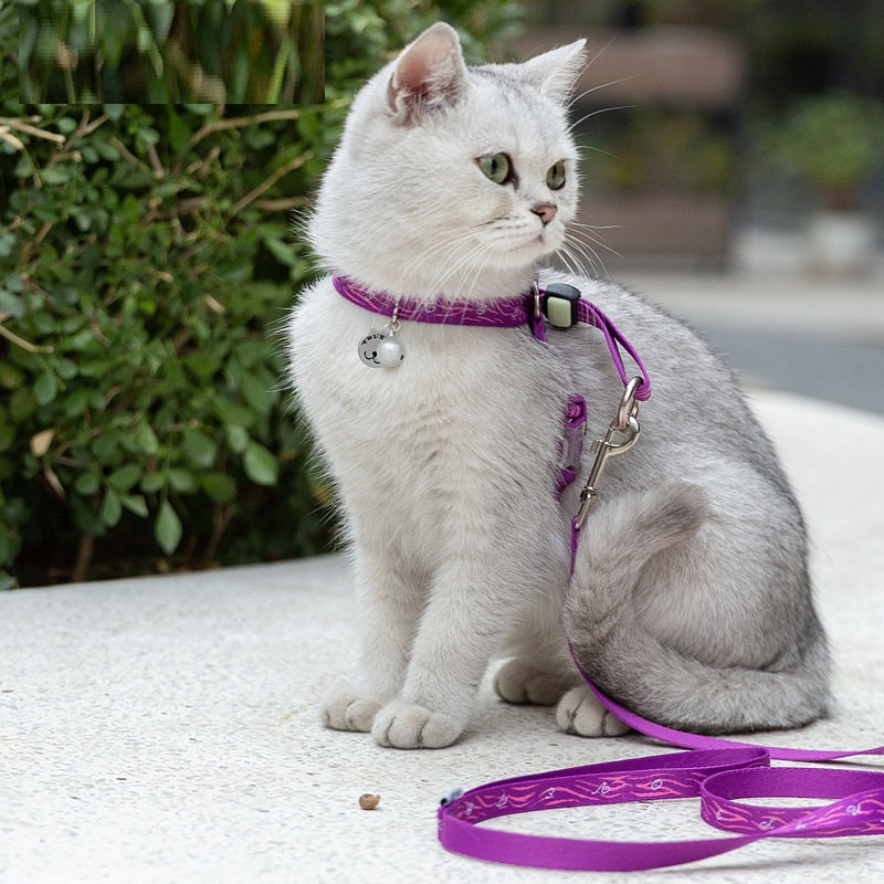 Pet Bell Chest Strap Harness Vest Leash Set