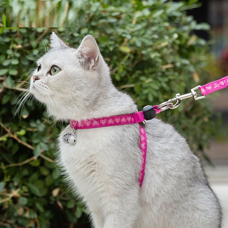 Pet Bell Chest Strap Harness Vest Leash Set